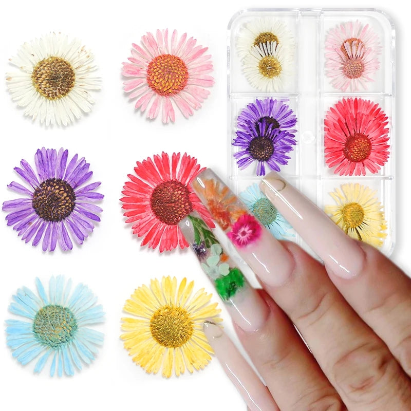 6Grid-3D Dried Real flowers Nail Art Decorations Dry flowers stickers