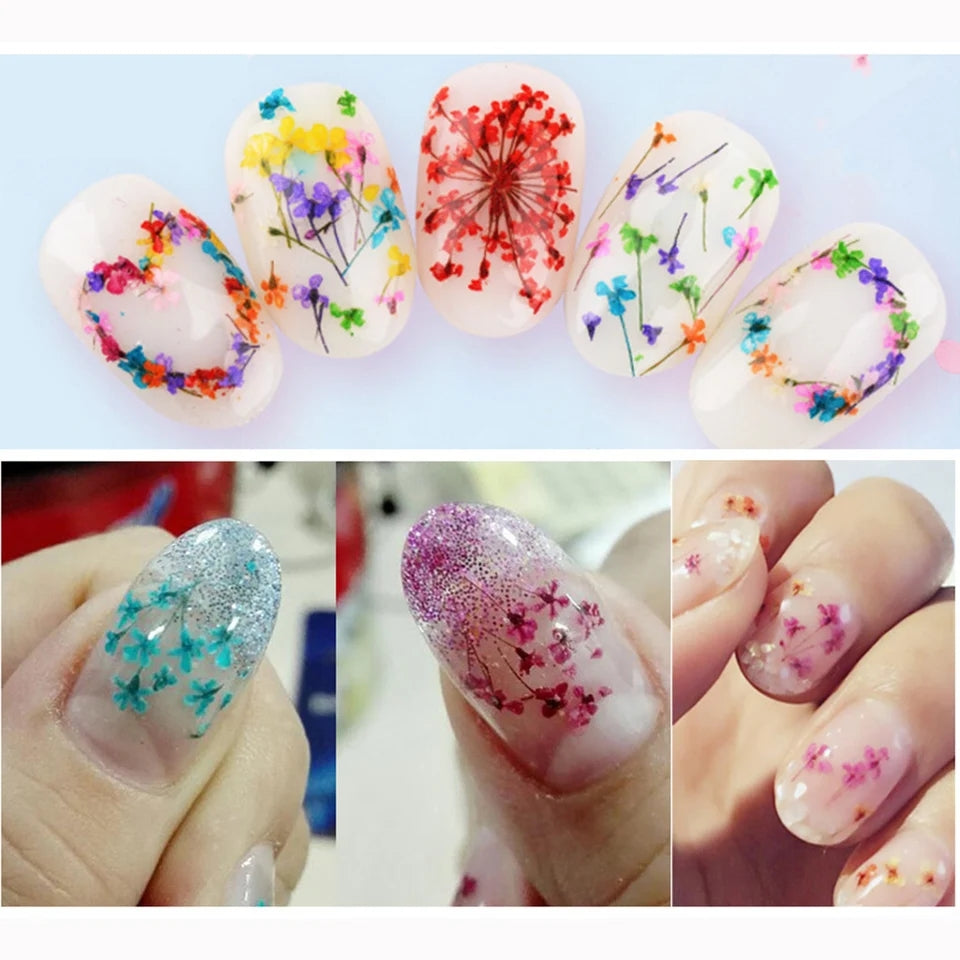 12Grid-3D Dried Flowers For Nail Charms Natural Floral Stickers