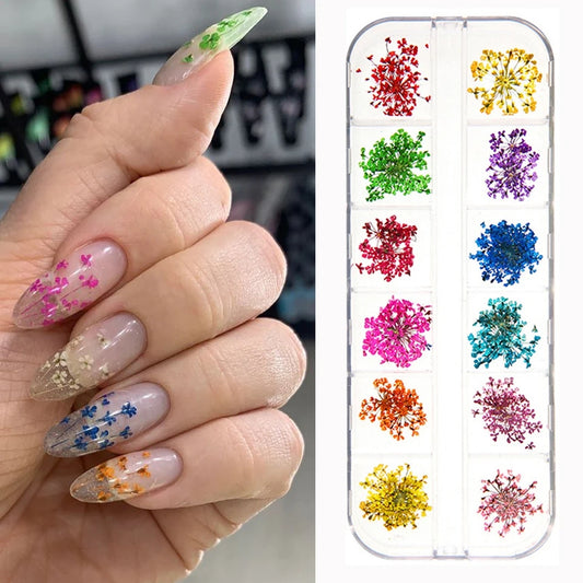 12Grid-3D Dried Flowers For Nail Charms Natural Floral Stickers