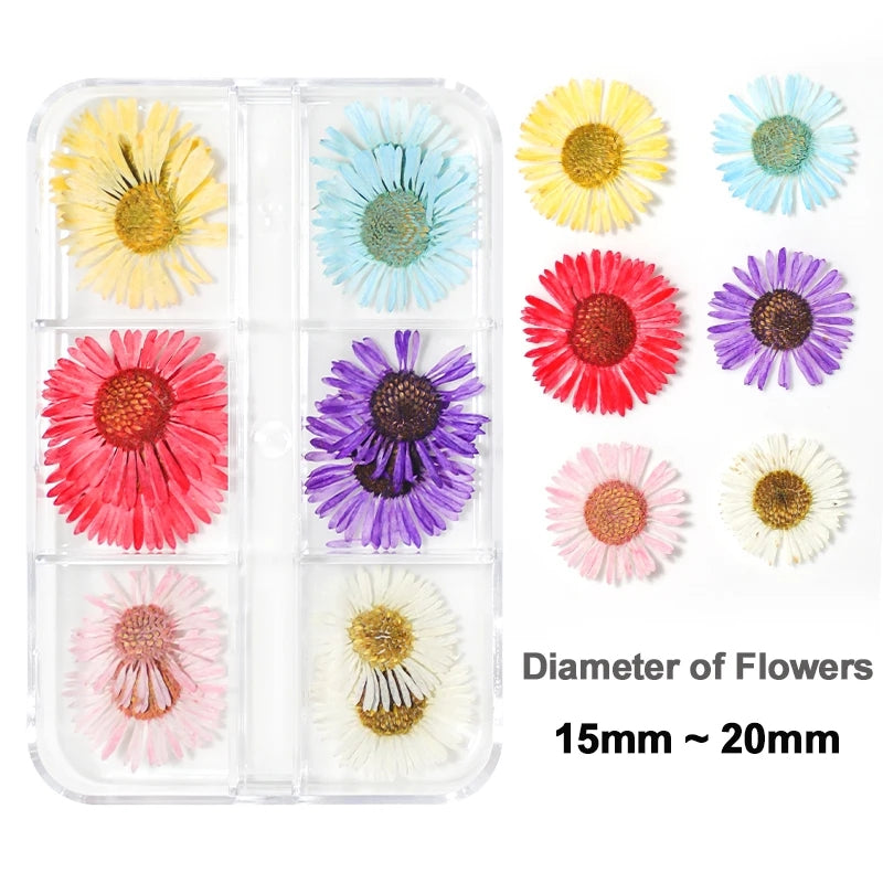 6Grid-3D Dried Real flowers Nail Art Decorations Dry flowers stickers